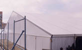 50 m span ( x 75m or 80 m). Erectable in 50/40/30/20 m span. Brand new covers. 46 euros/m2