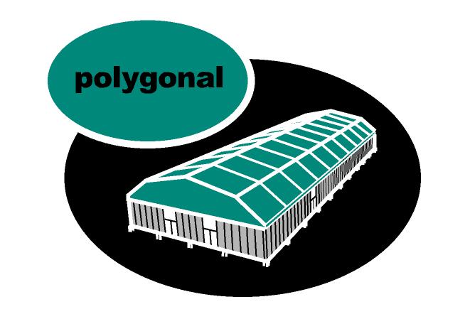 Polygonal